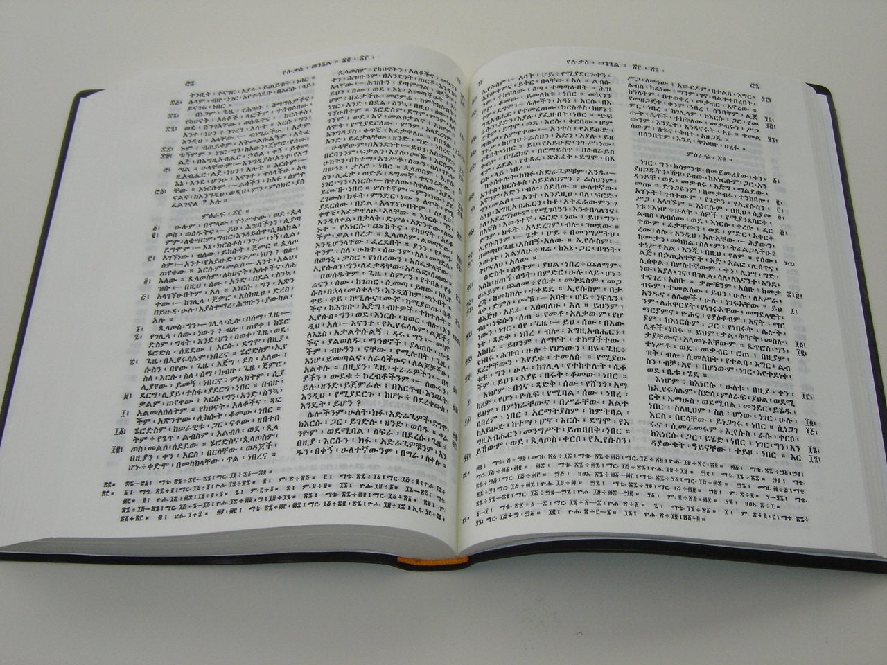 Amharic Bible Black R052PL / The Bible in Amharic from Ethiopia 2009 Print