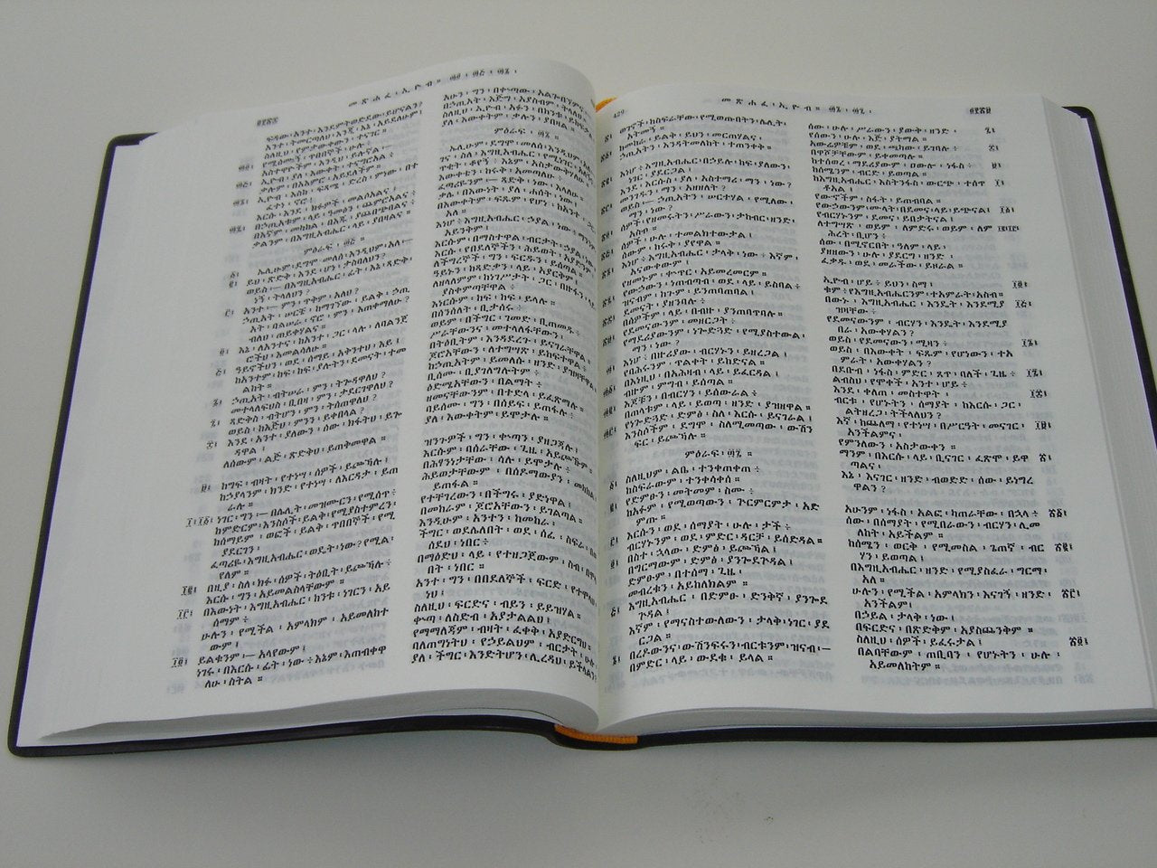 Amharic Bible Black R052PL / The Bible in Amharic from Ethiopia 2009 Print