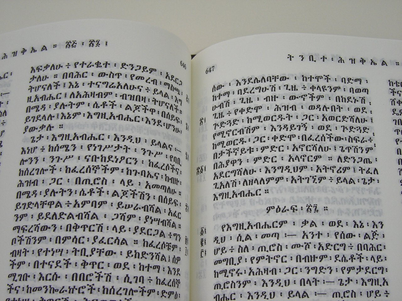 Amharic Bible Black R052PL / The Bible in Amharic from Ethiopia 2009 Print