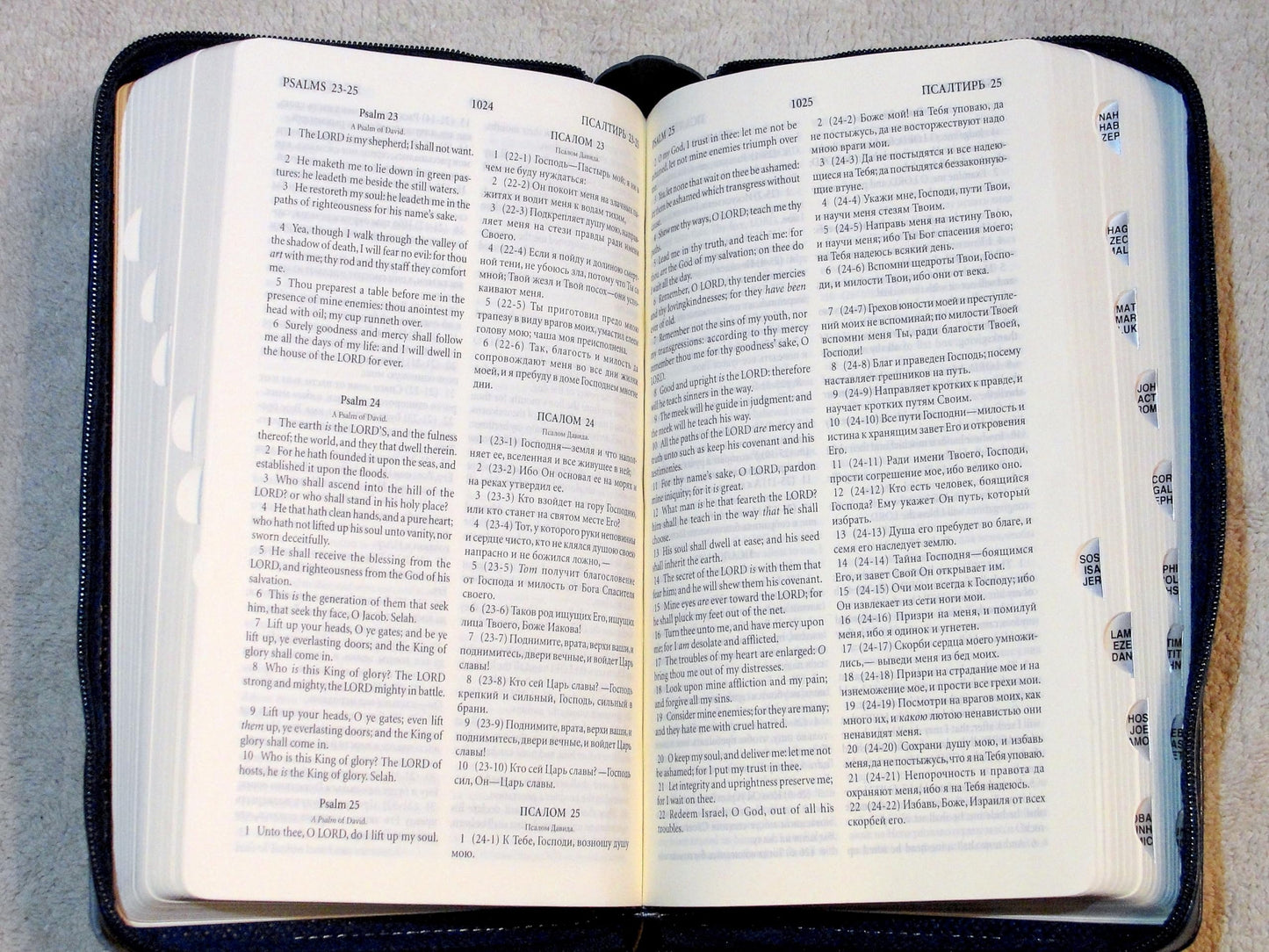 English-Russian Parralel Bible (King James Version)