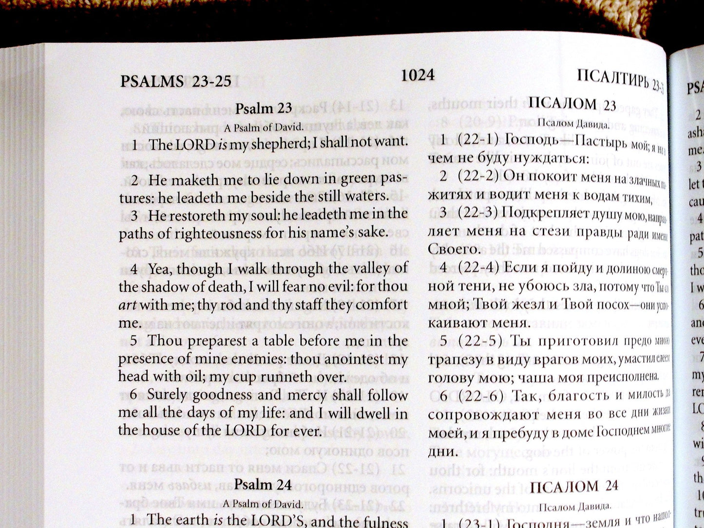 Russian English Bible, Paperback