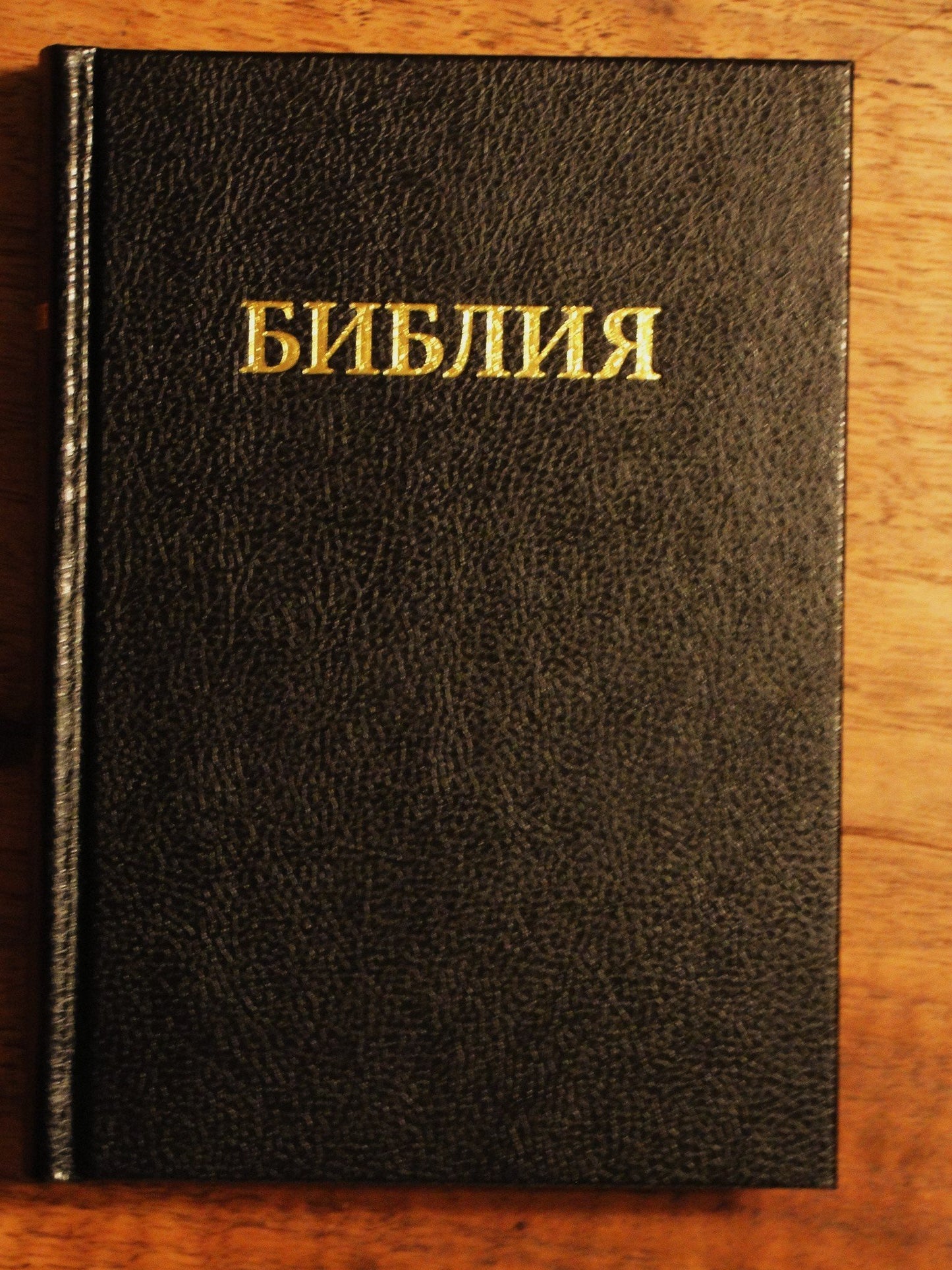 Medium - Russian Bible: Russian Bible (Synodal) (Russian Edition)