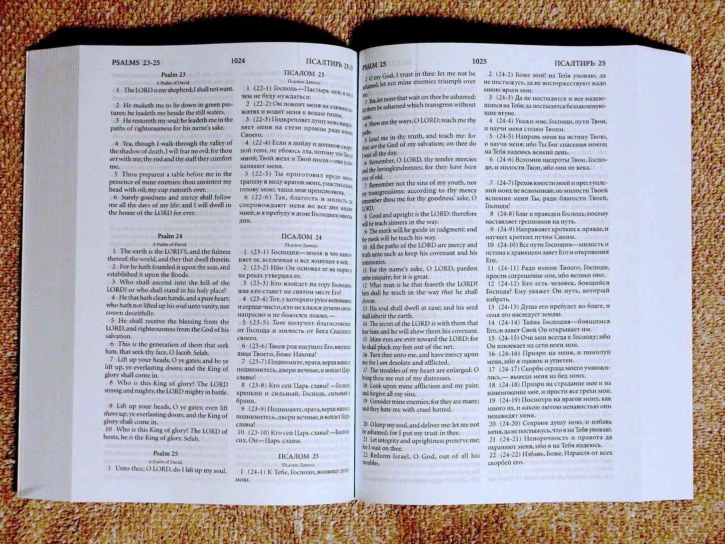 Russian English Bible, Paperback